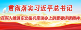 貫徹落實習近平總書記在深入推進東北振興座談會上的重要講話精神